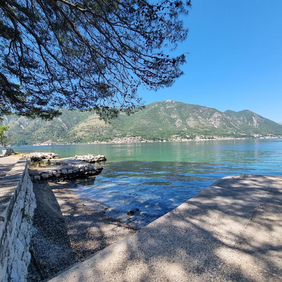 Lovely Apartment Jovan 3,With A View Of The Bay And Free Wi-Fi Kotor Buitenkant foto